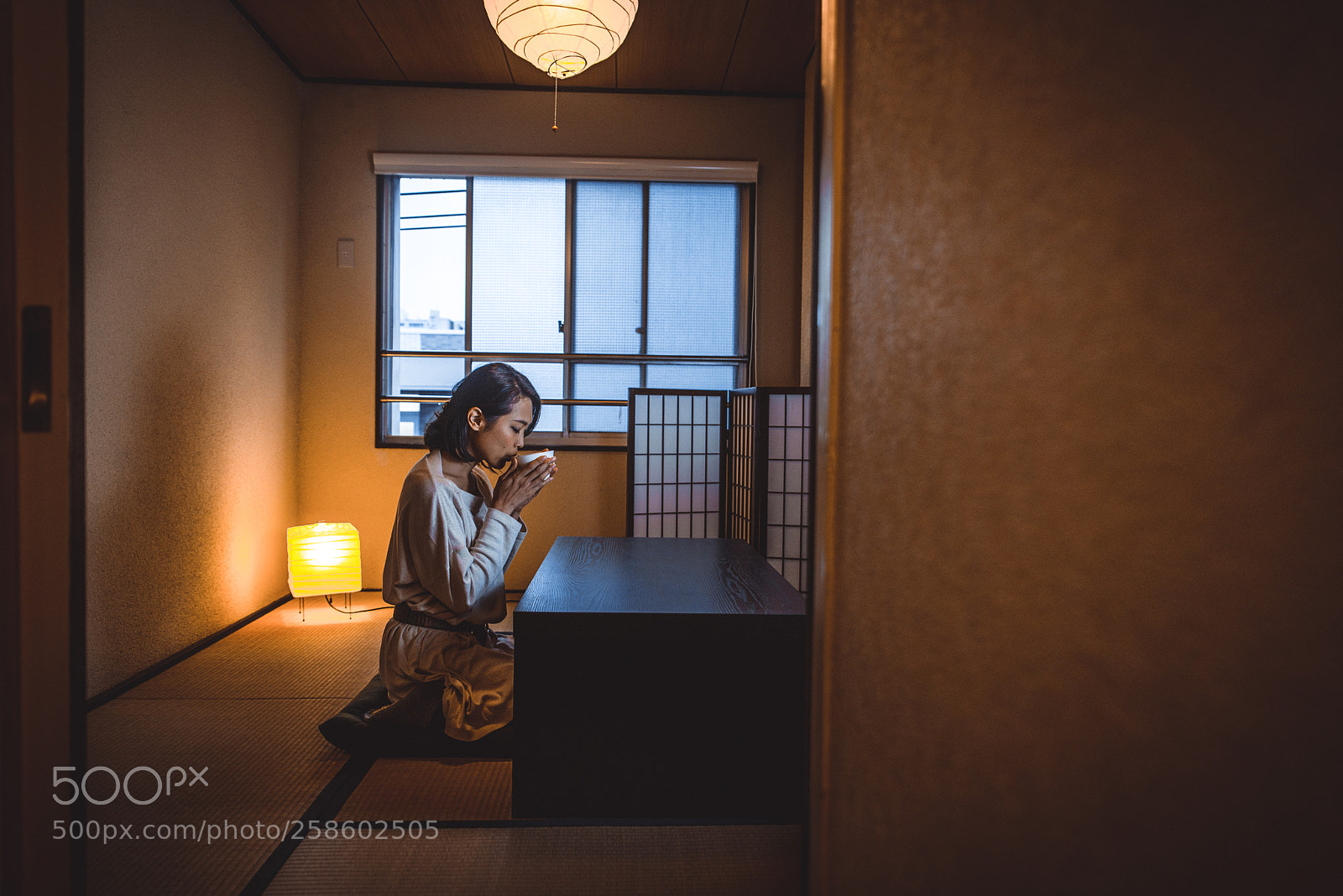 Nikon D610 sample photo. Japanese girl sits at photography