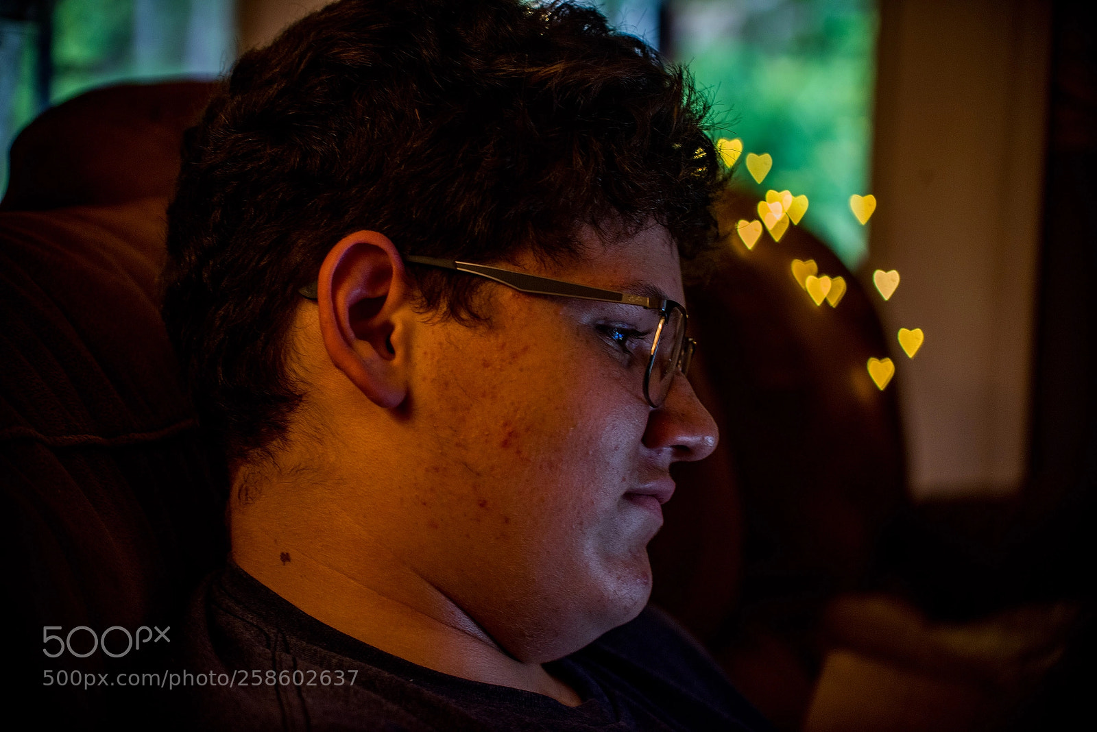 Nikon D810 sample photo. Bokeh photography