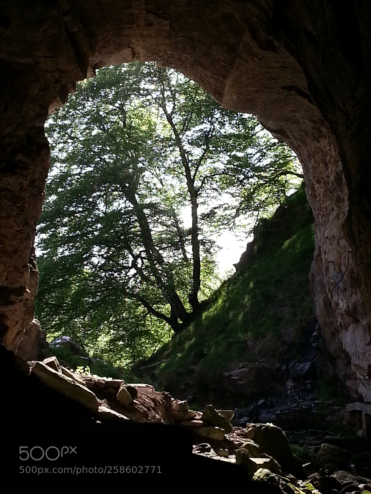 Samsung Galaxy Note2 sample photo. Untitled photography