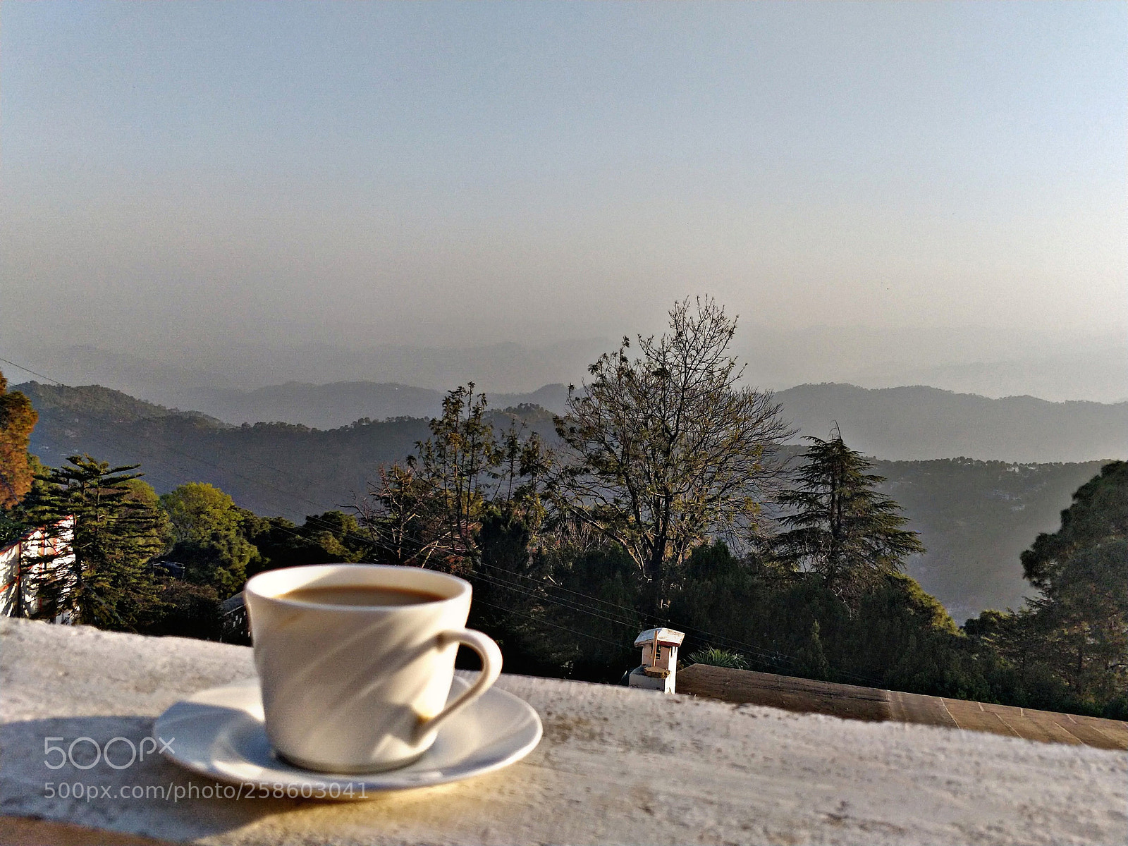 OnePlus 5 sample photo. Untitled photography