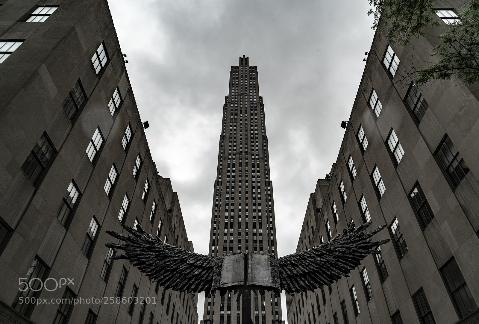 Sony a7R II sample photo. Wings photography