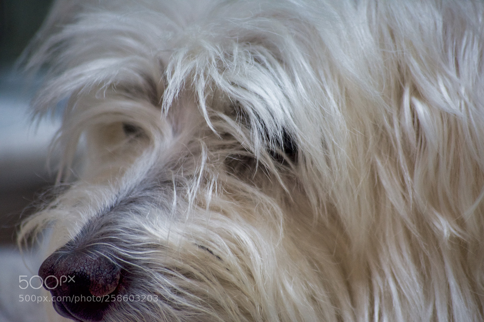 Nikon D7200 sample photo. Lost marbles photography
