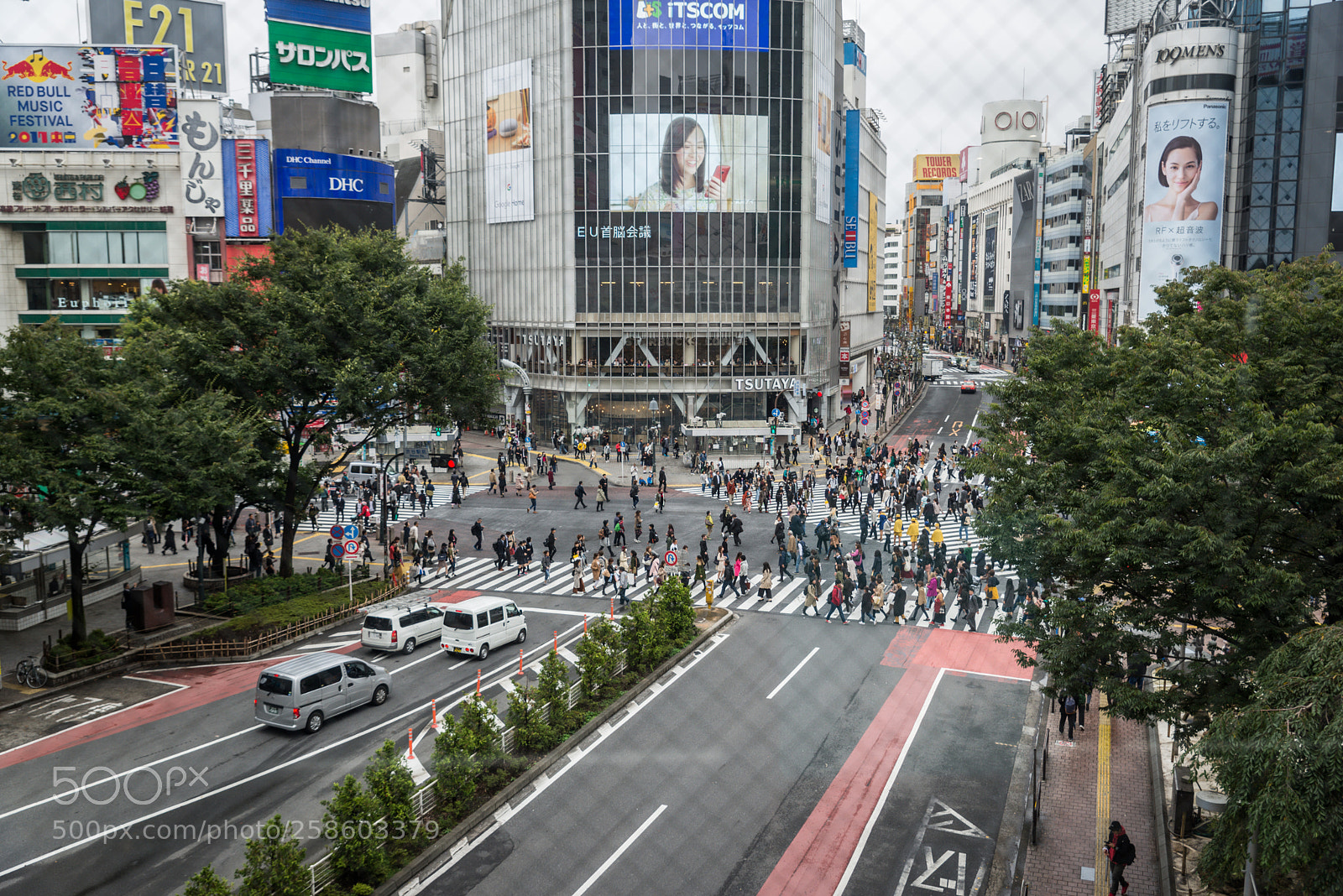 Nikon D610 sample photo. Shibuya crossing from above photography