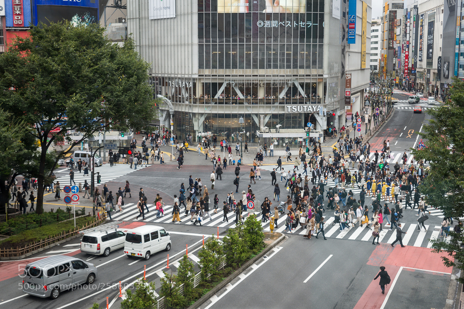 Nikon D610 sample photo. Shibuya crossing from above photography