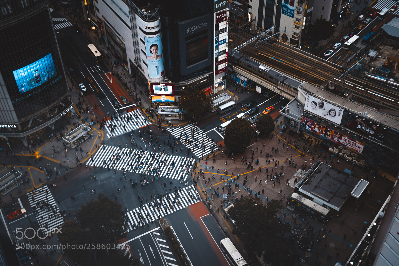 Nikon D610 sample photo. Shibuya crossing from above photography