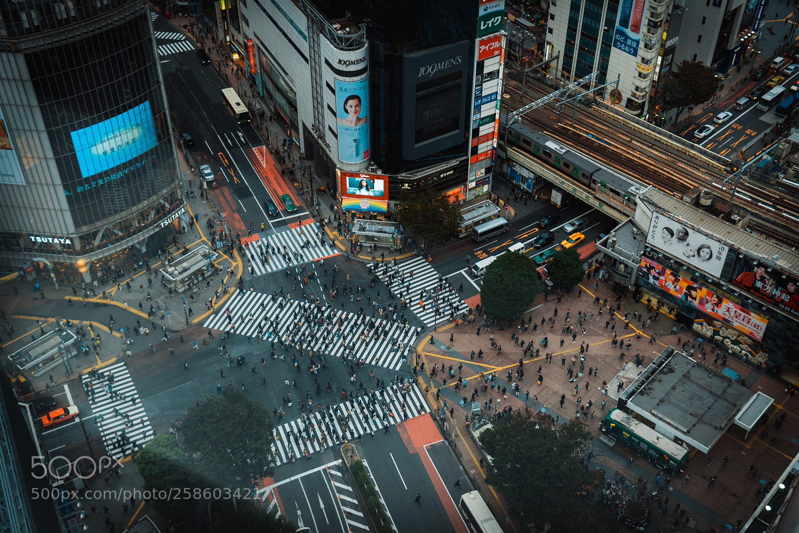 Nikon D610 sample photo. Shibuya crossing from above photography
