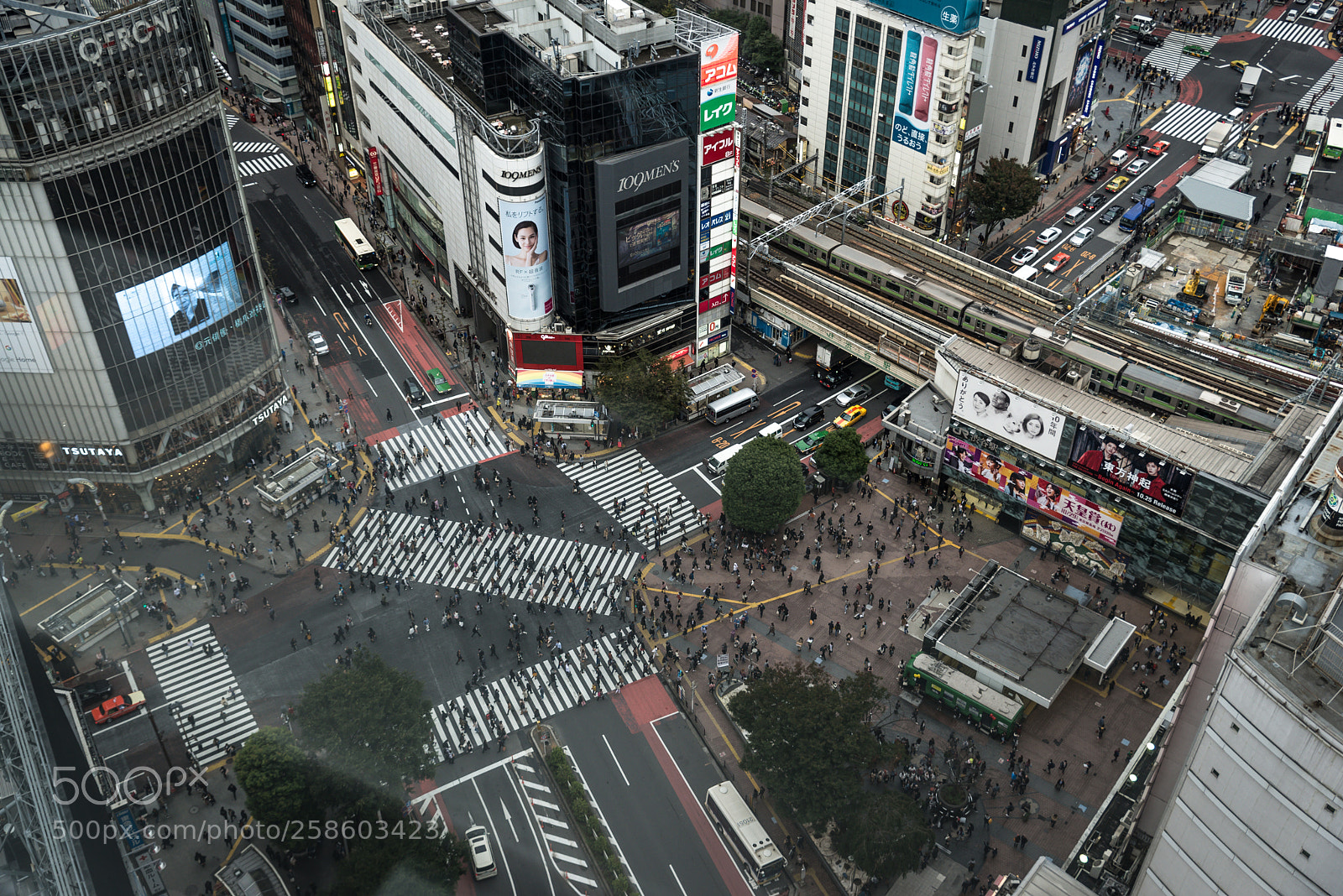 Nikon D610 sample photo. Shibuya crossing from above photography