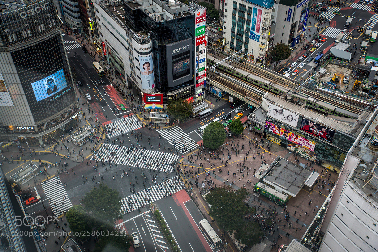 Nikon D610 sample photo. Shibuya crossing from above photography