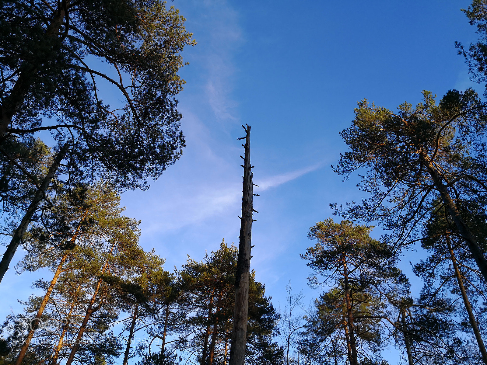 HUAWEI Mate 10 Pro sample photo. Untitled photography