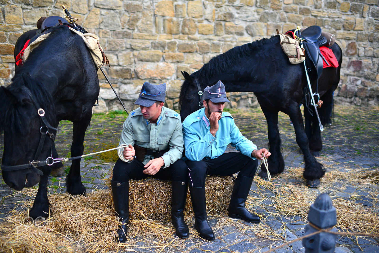 Nikon D800 sample photo. Army horses photography