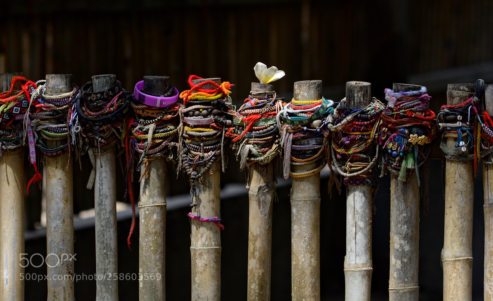 Nikon D5200 sample photo. Shrine photography