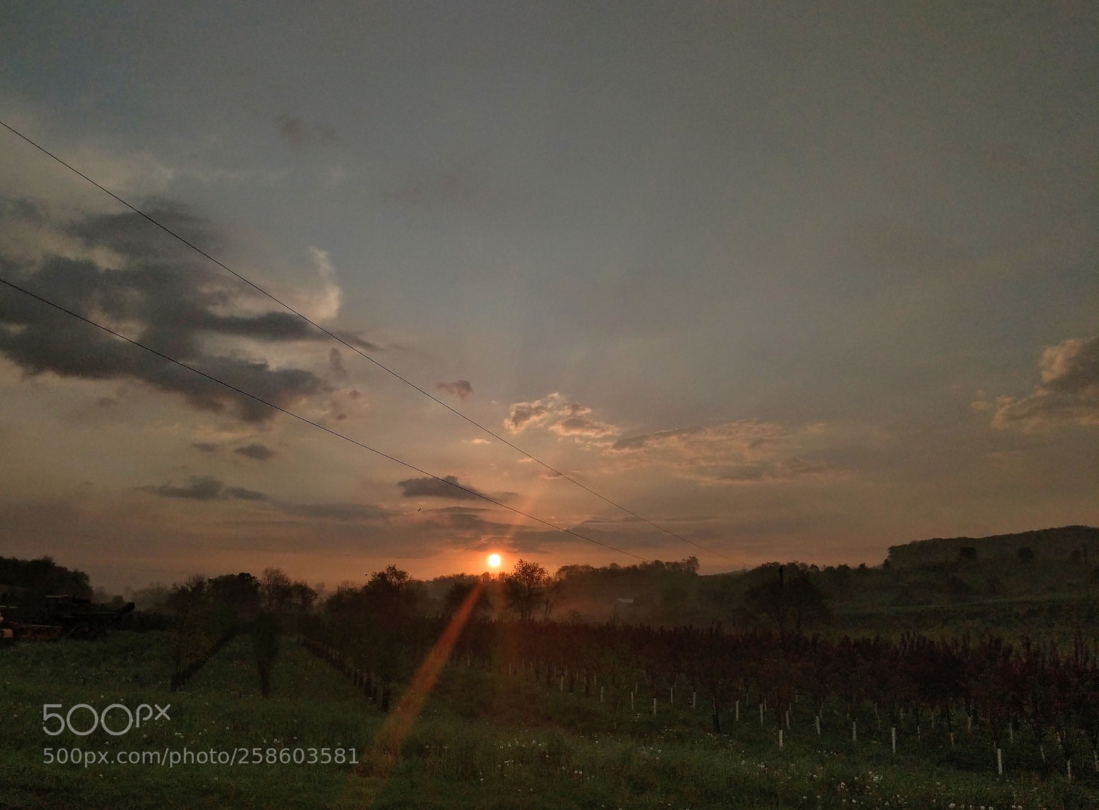 Google Pixel 2 sample photo. Sunrise on the farm photography