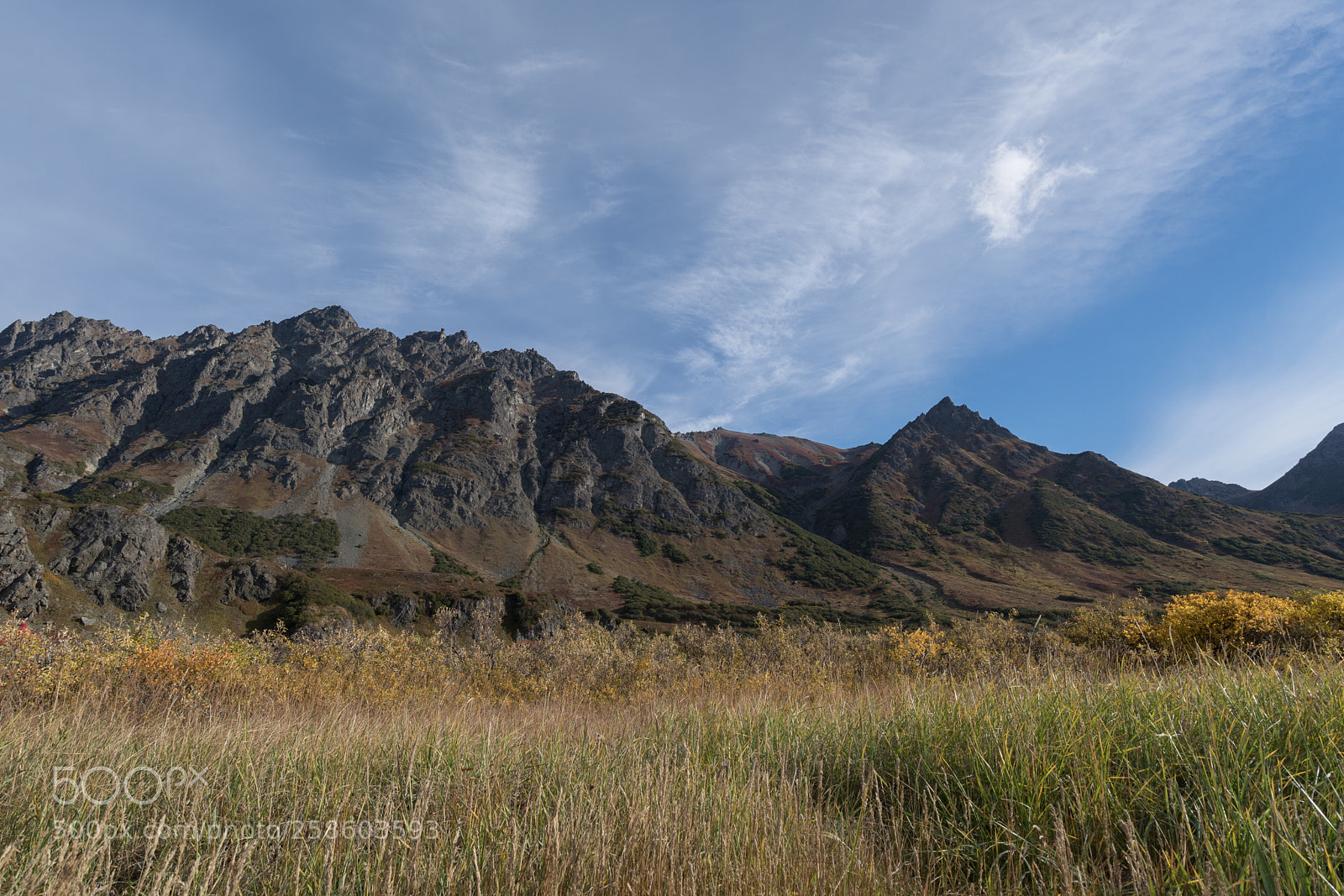 Sony a7R II sample photo. Bukhta natalii photography