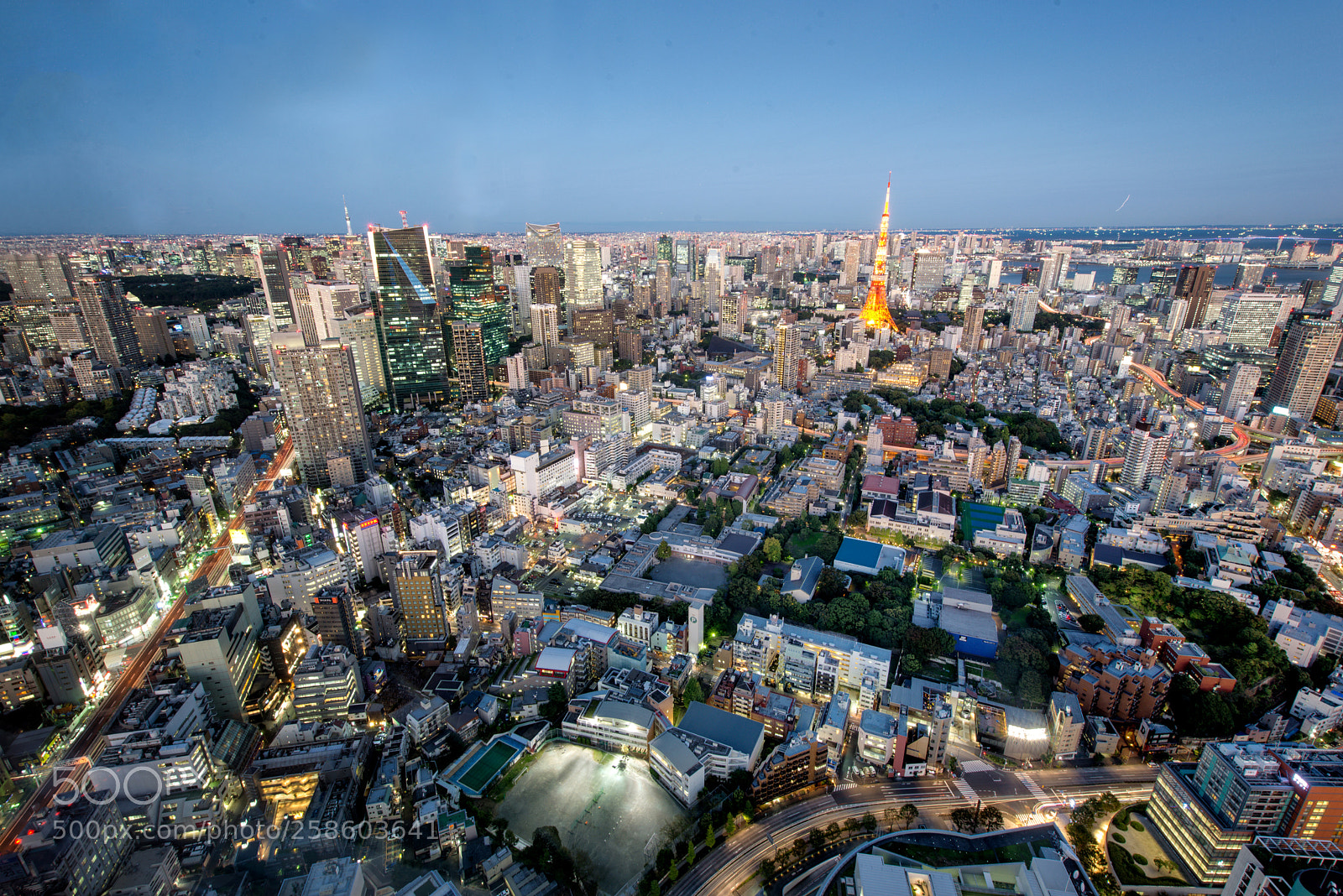 Nikon D610 sample photo. Tokyo tower and tokyo photography