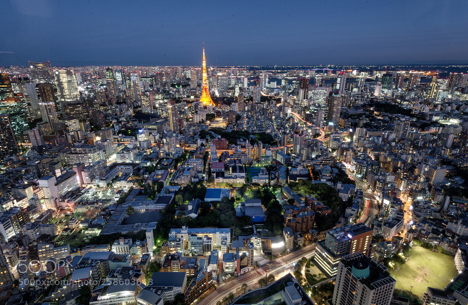 Nikon D610 sample photo. Tokyo tower and tokyo photography