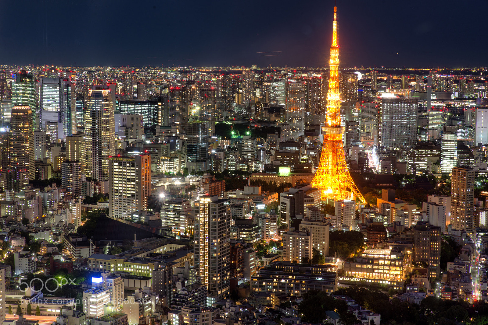Nikon D610 sample photo. Tokyo tower and tokyo photography