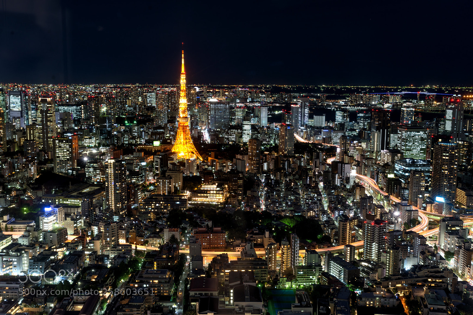 Nikon D610 sample photo. Tokyo tower and tokyo photography