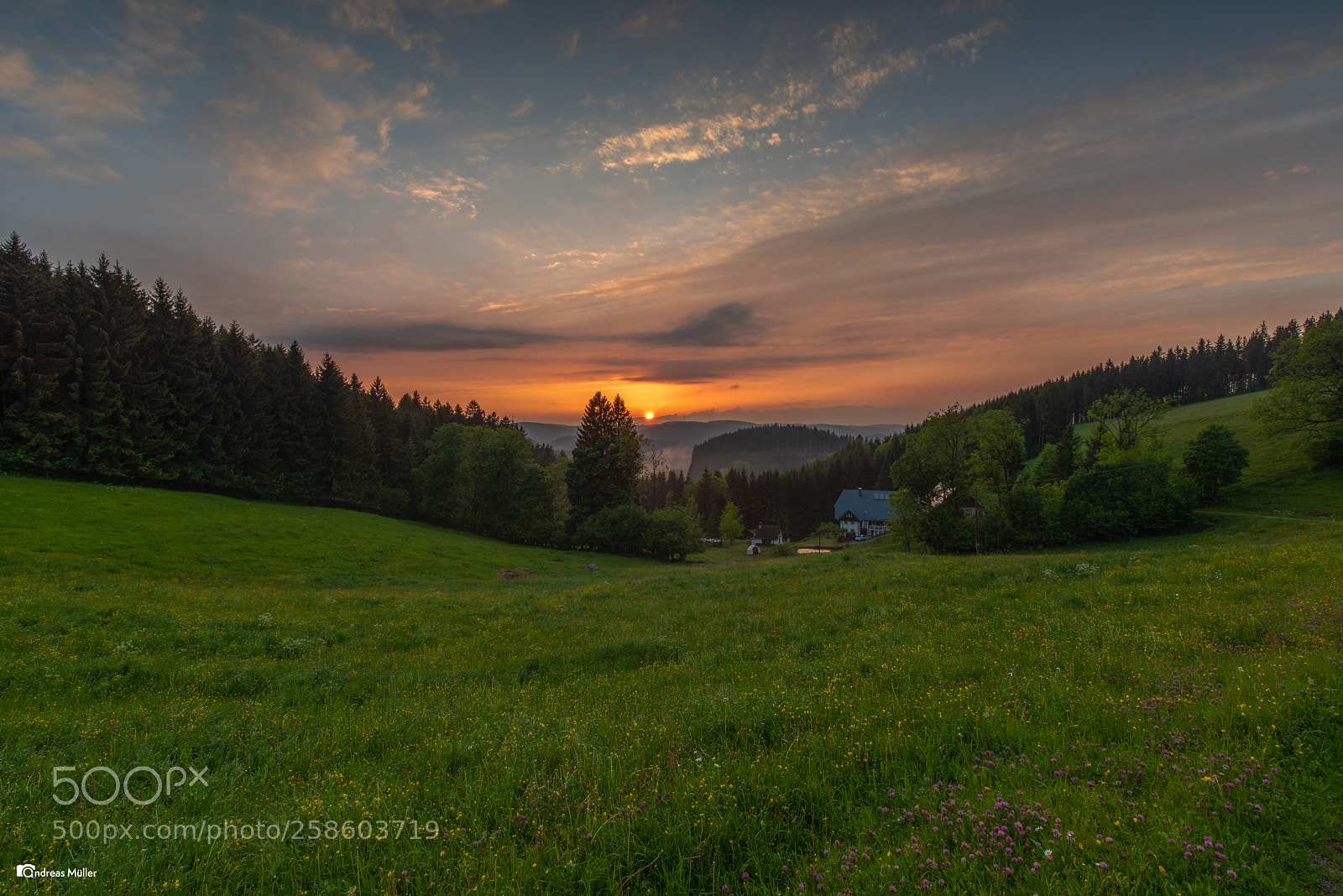 Nikon D810 sample photo. Sunset in the black photography