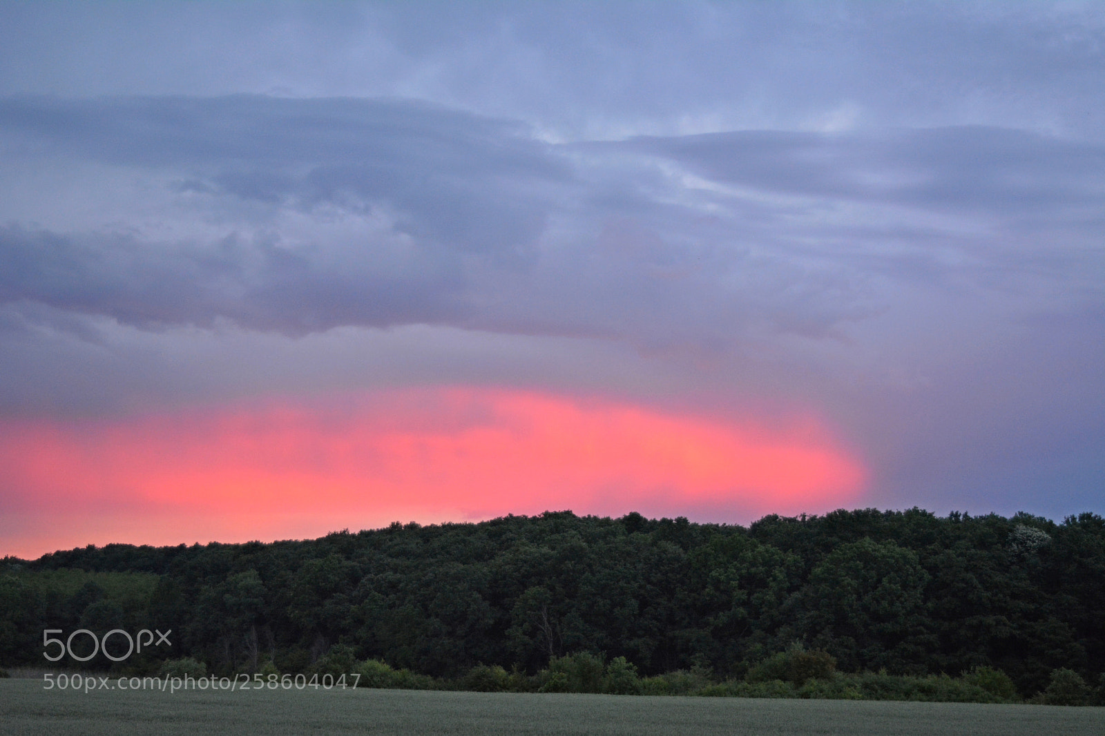 Nikon D5200 sample photo. Sunset today photography