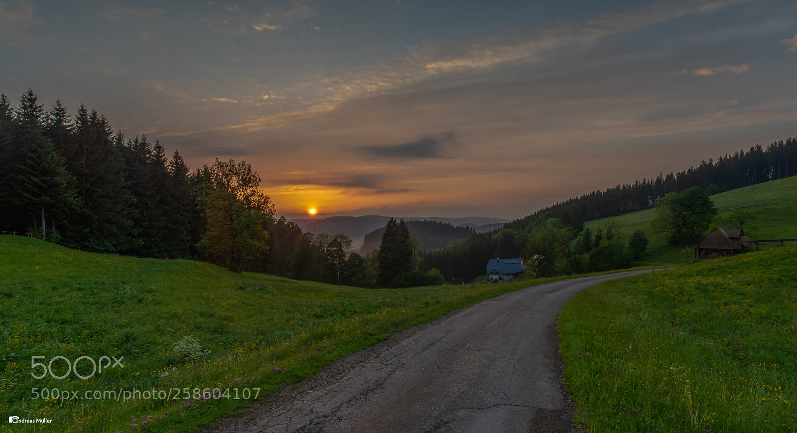 Nikon D810 sample photo. Sunset in the black photography