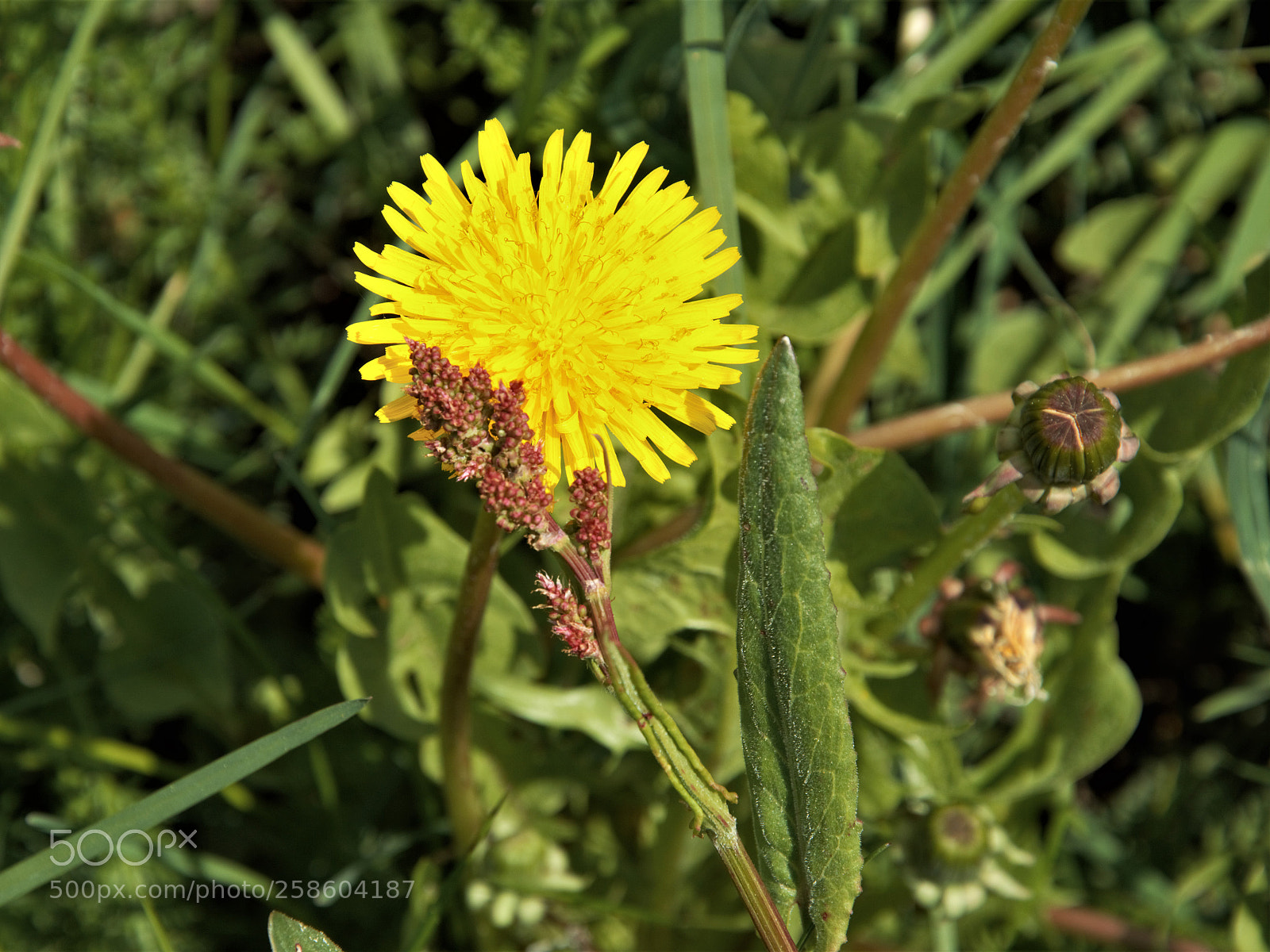 Nikon D3200 sample photo. Untitled photography