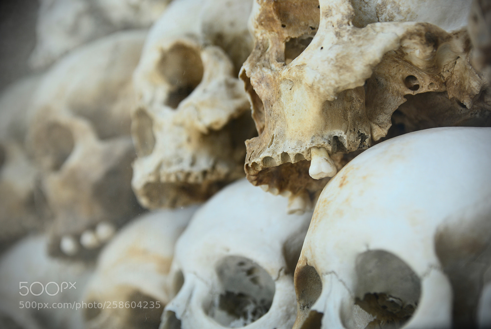 Nikon D5200 sample photo. Silent witnesses photography