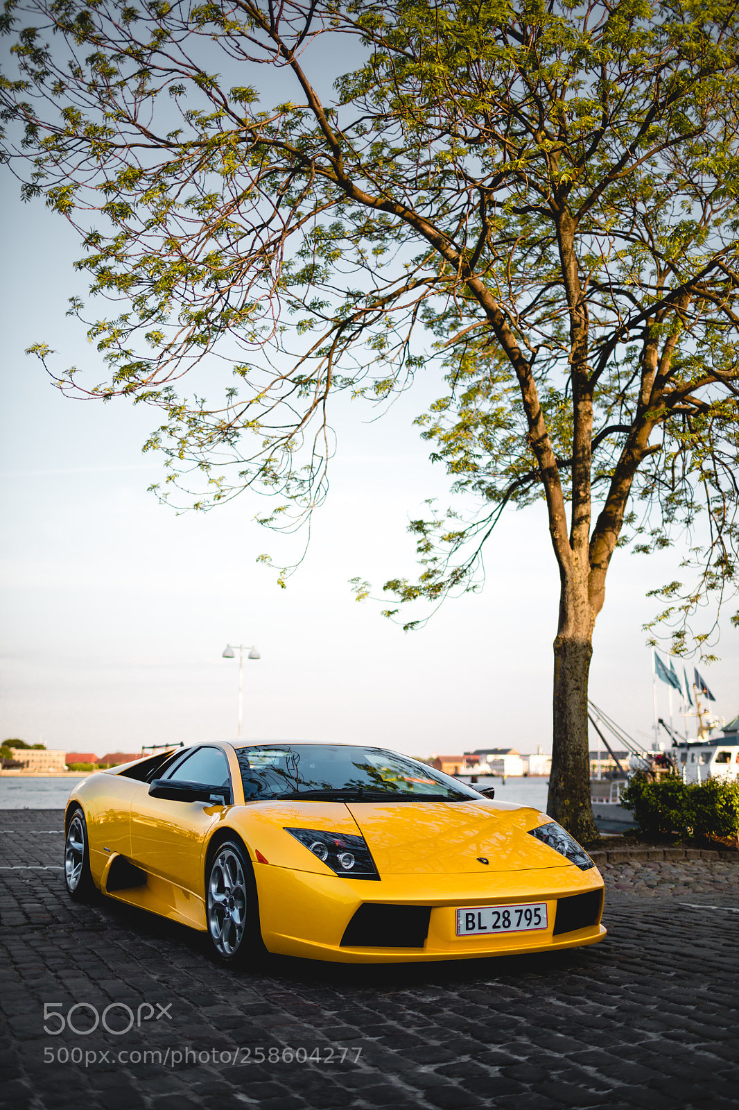 Canon EOS 5DS sample photo. Untitled photography