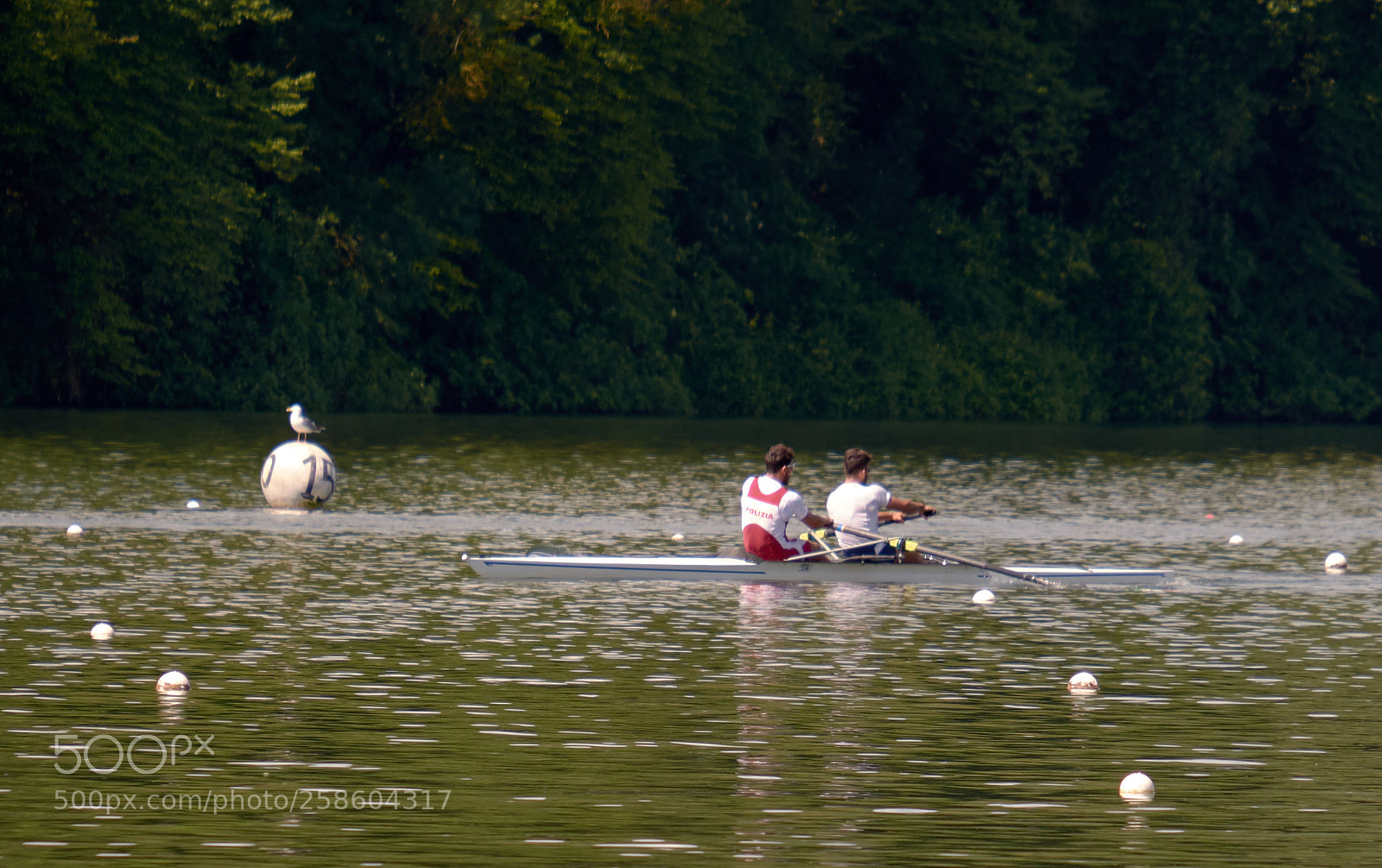 Fujifilm X-Pro2 sample photo. Rowing with gull photography