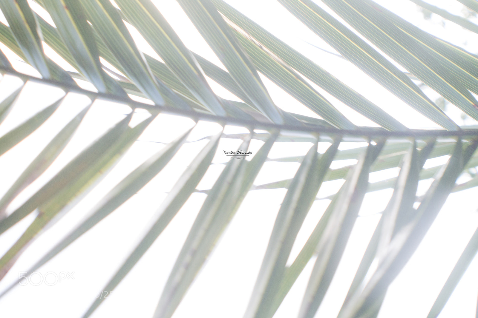 Canon EOS 1100D (EOS Rebel T3 / EOS Kiss X50) sample photo. Le temps met tout photography