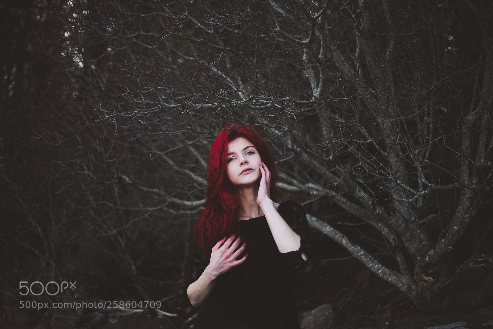 Canon EOS 6D sample photo. Whisper photography