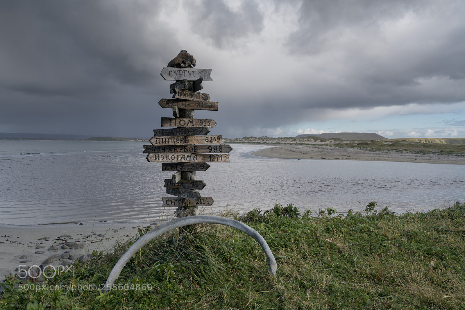 Sony a7R II sample photo. Bering island photography