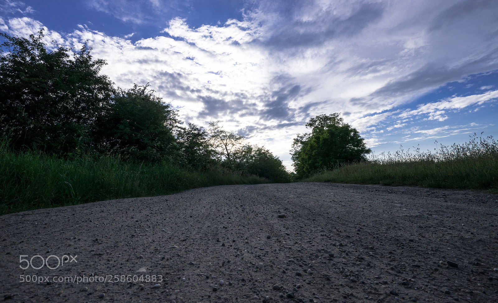 Sony a7 sample photo. _dsc3386-2.jpg photography
