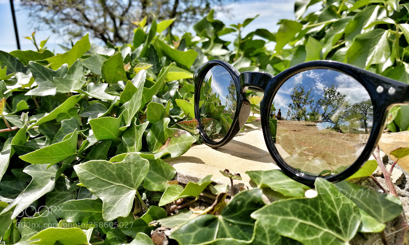 HUAWEI P9 sample photo. Reflection photography