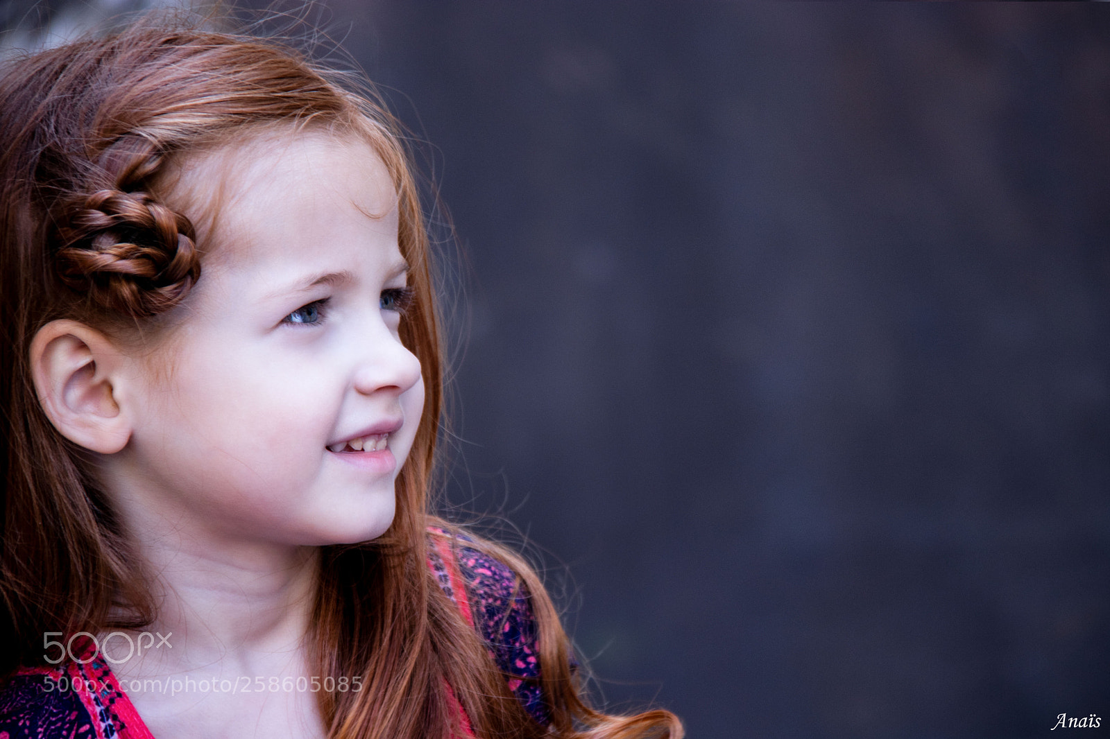Canon EOS 80D sample photo. Petite aurore photography