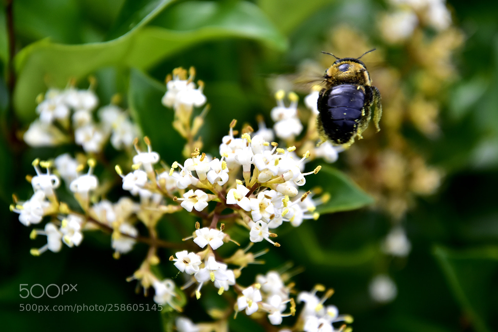 Nikon D5600 sample photo. Untitled photography