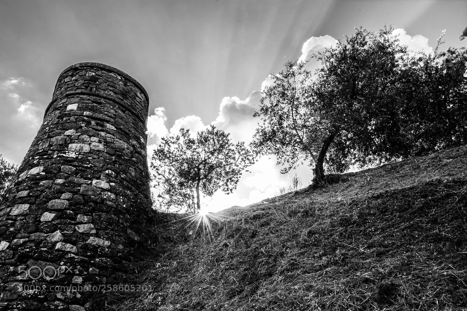 Nikon D5200 sample photo. Sun rays photography