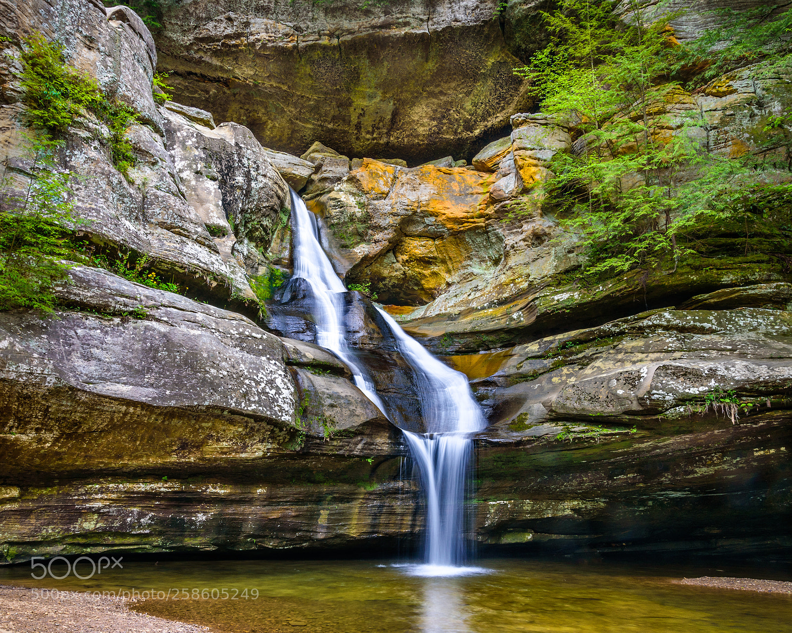 Nikon D750 sample photo. Cedar falls photography
