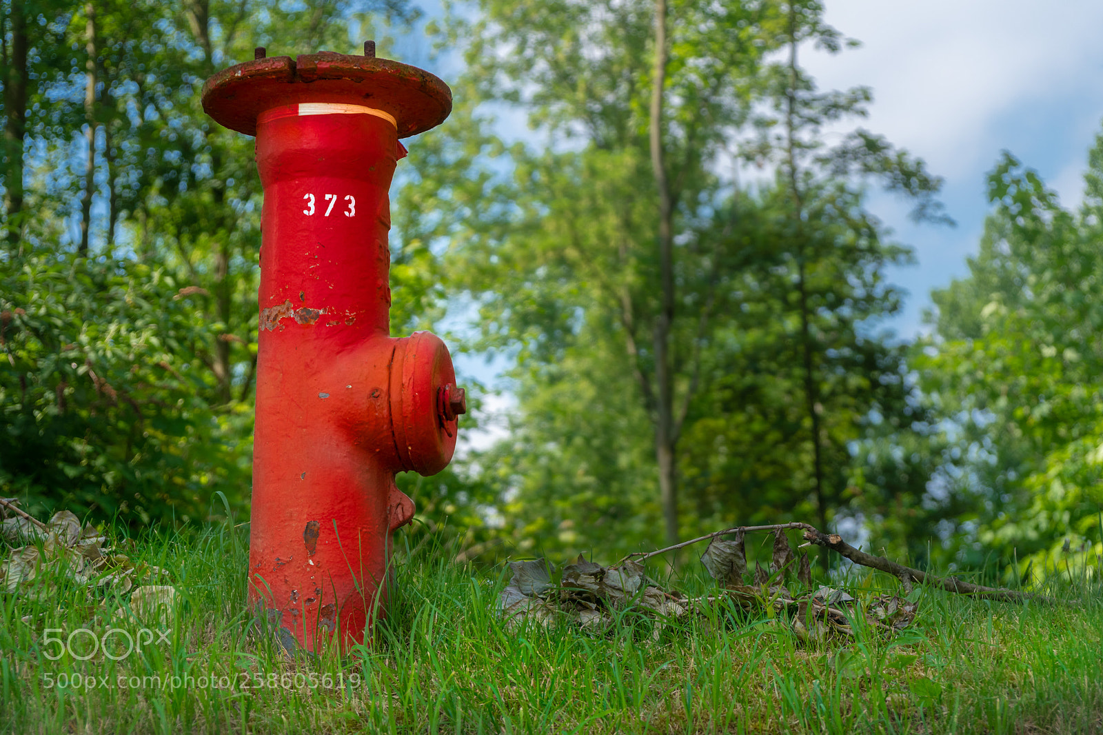 Sony a6500 sample photo. Technology & nature photography