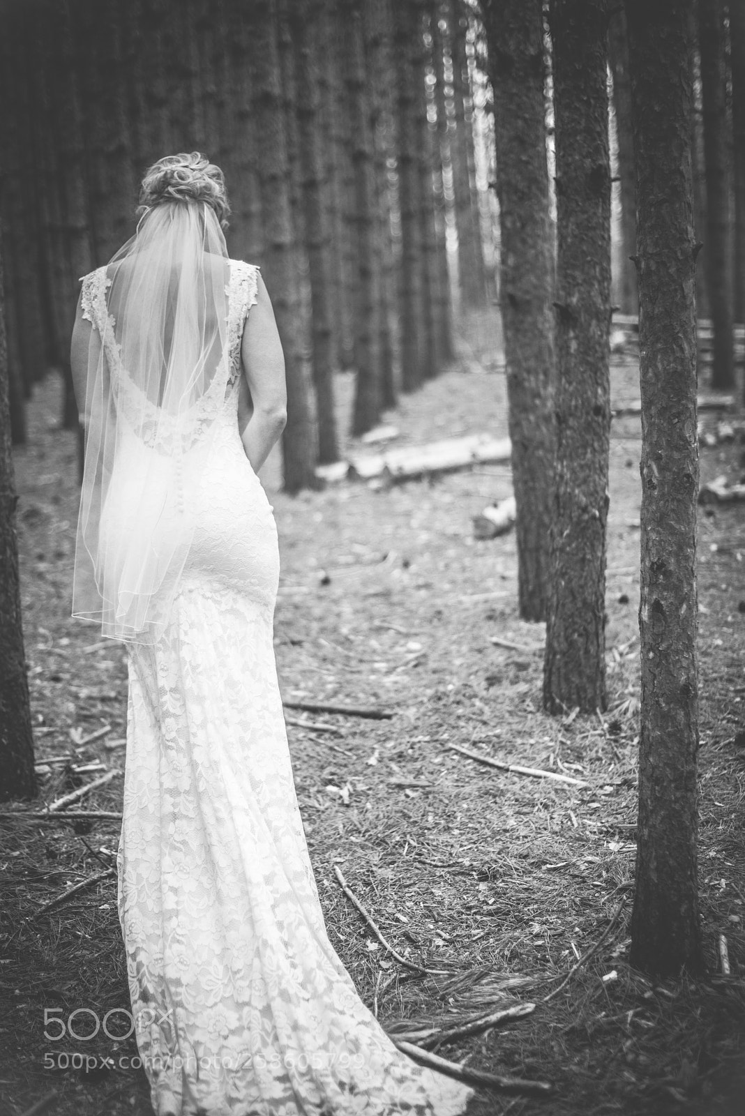 Nikon D810 sample photo. Lace + nature photography