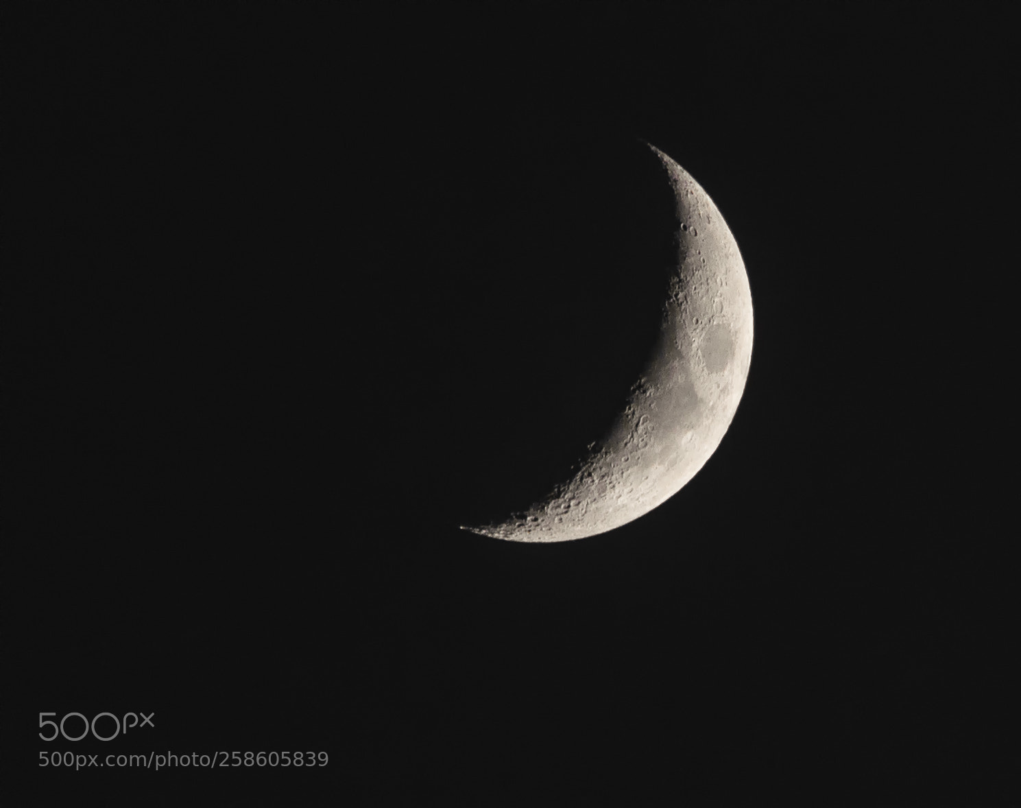 Canon EOS 80D sample photo. Moon 2018-05-19  24.6% photography