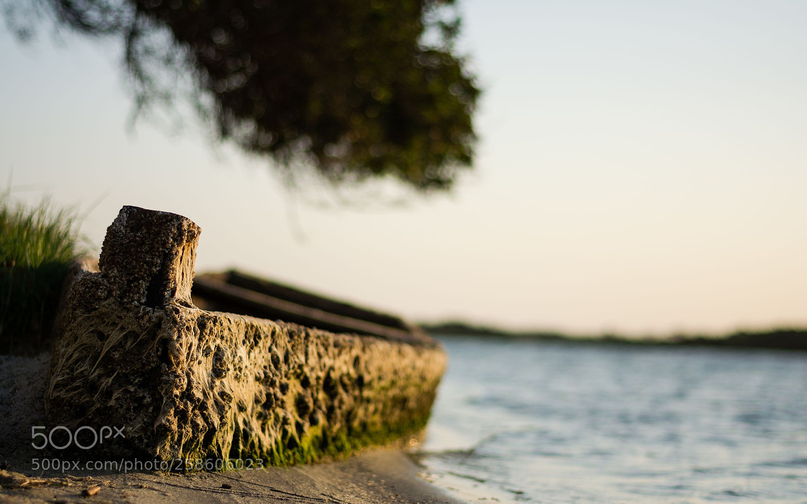 Nikon D5200 sample photo. Calm photography