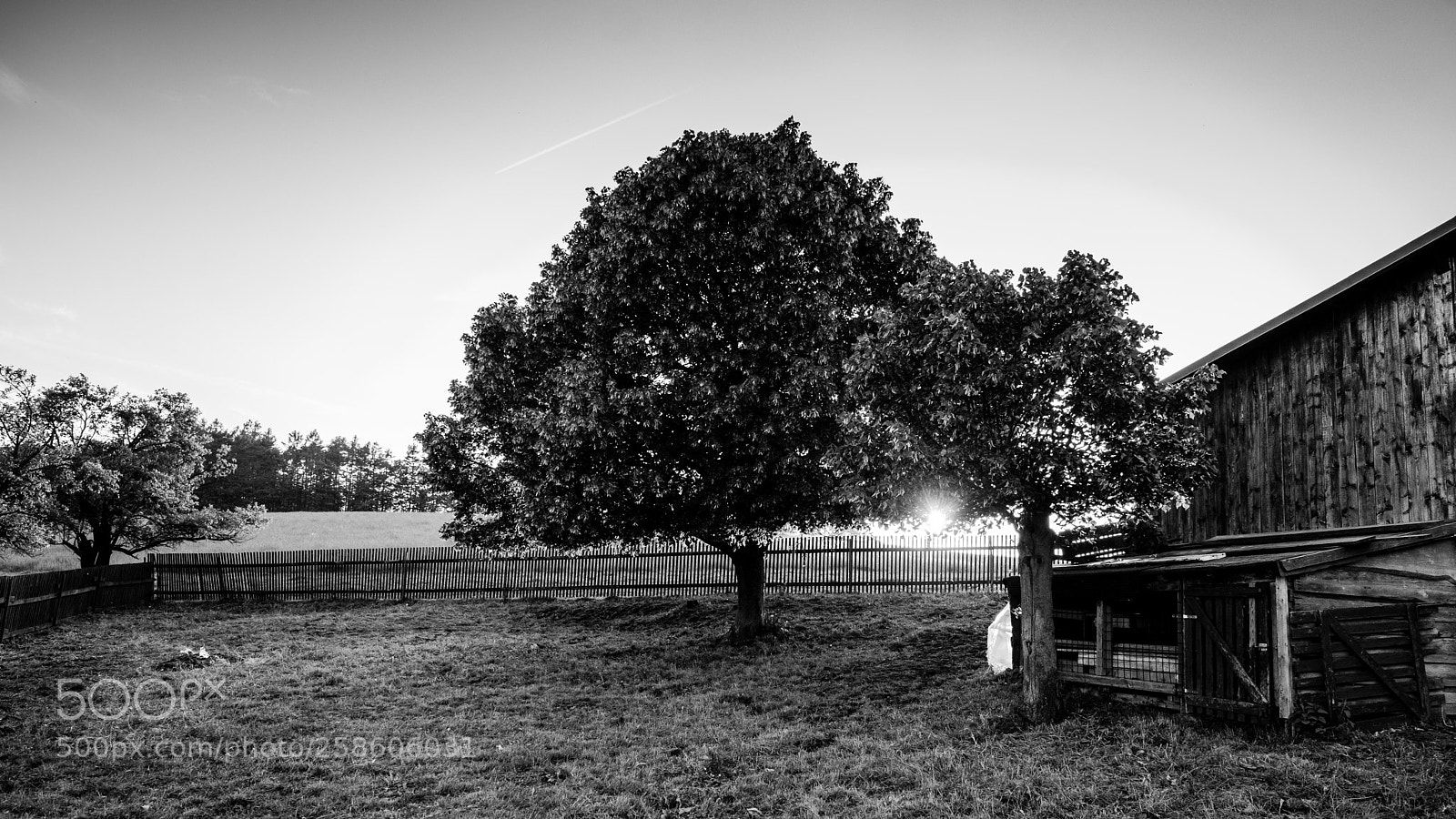 Fujifilm X-Pro2 sample photo. Przenske paseky photography