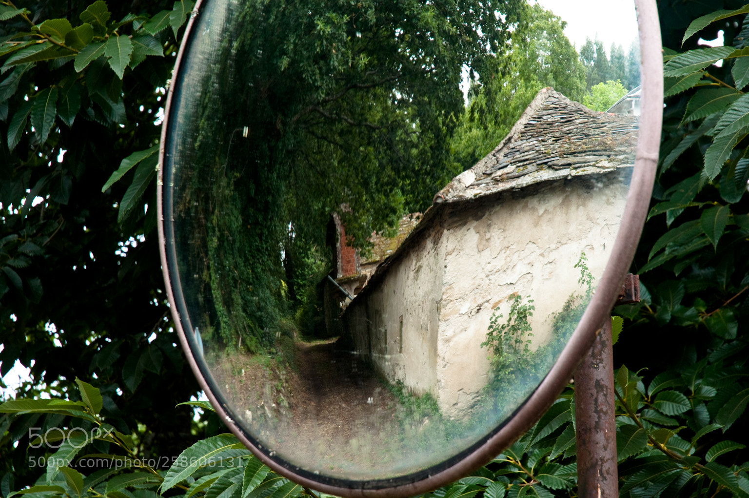 Nikon D90 sample photo. Fairy tale photography