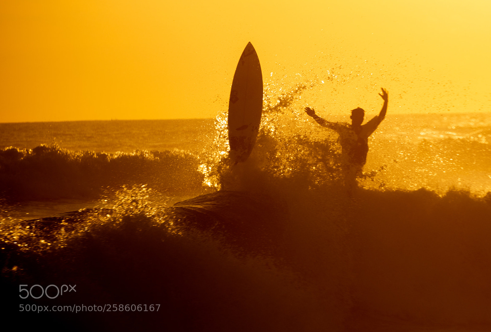 Nikon D850 sample photo. Surfer in into sea photography