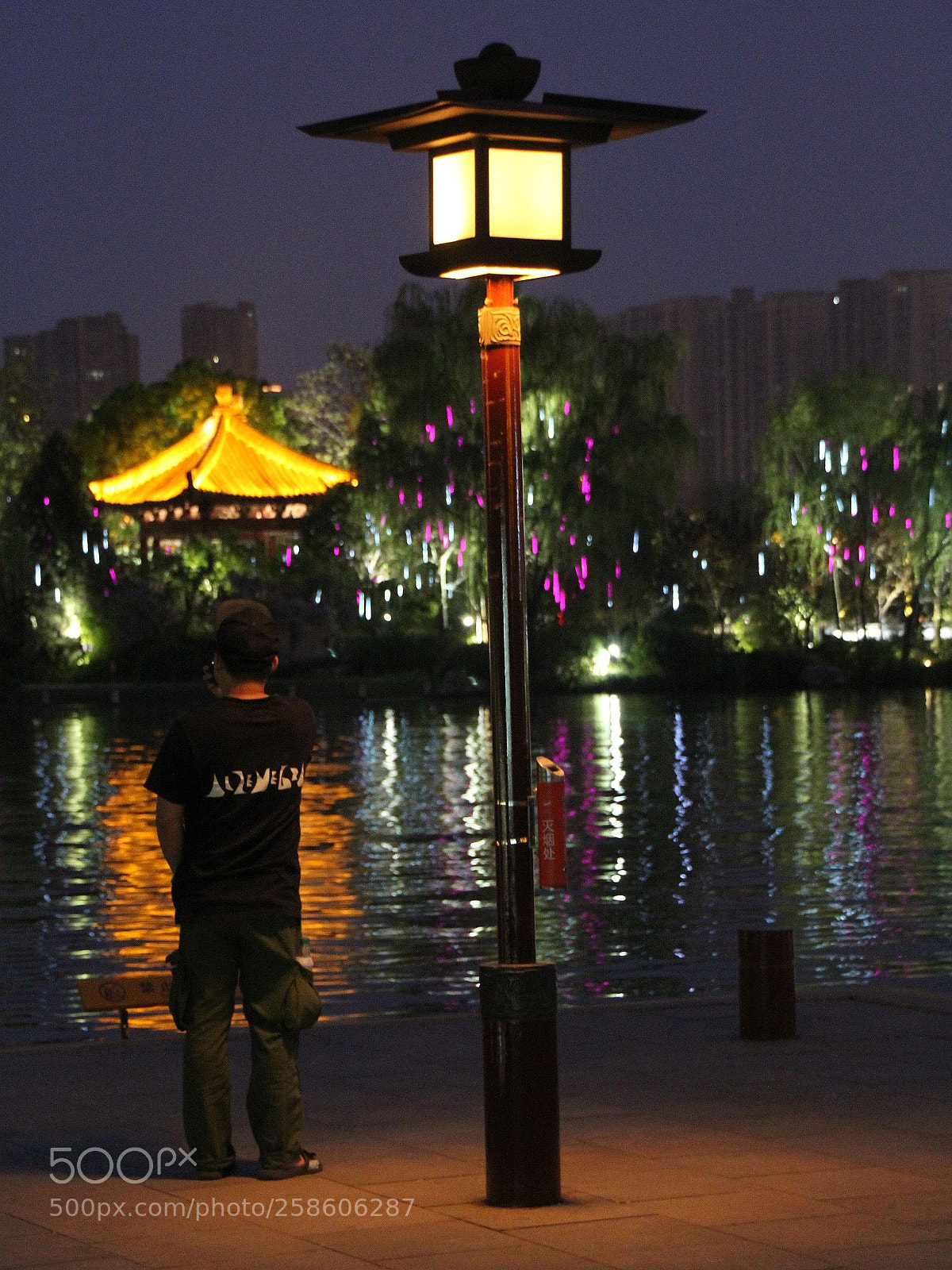 Canon EOS 60D sample photo. Streetlight  photography
