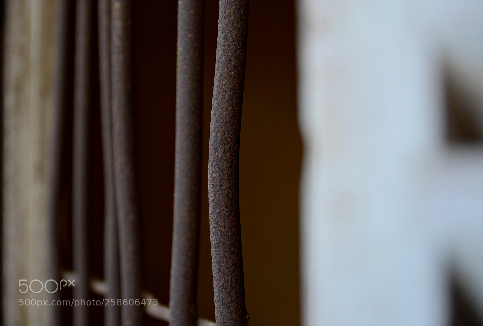 Nikon D5200 sample photo. Behind bars photography