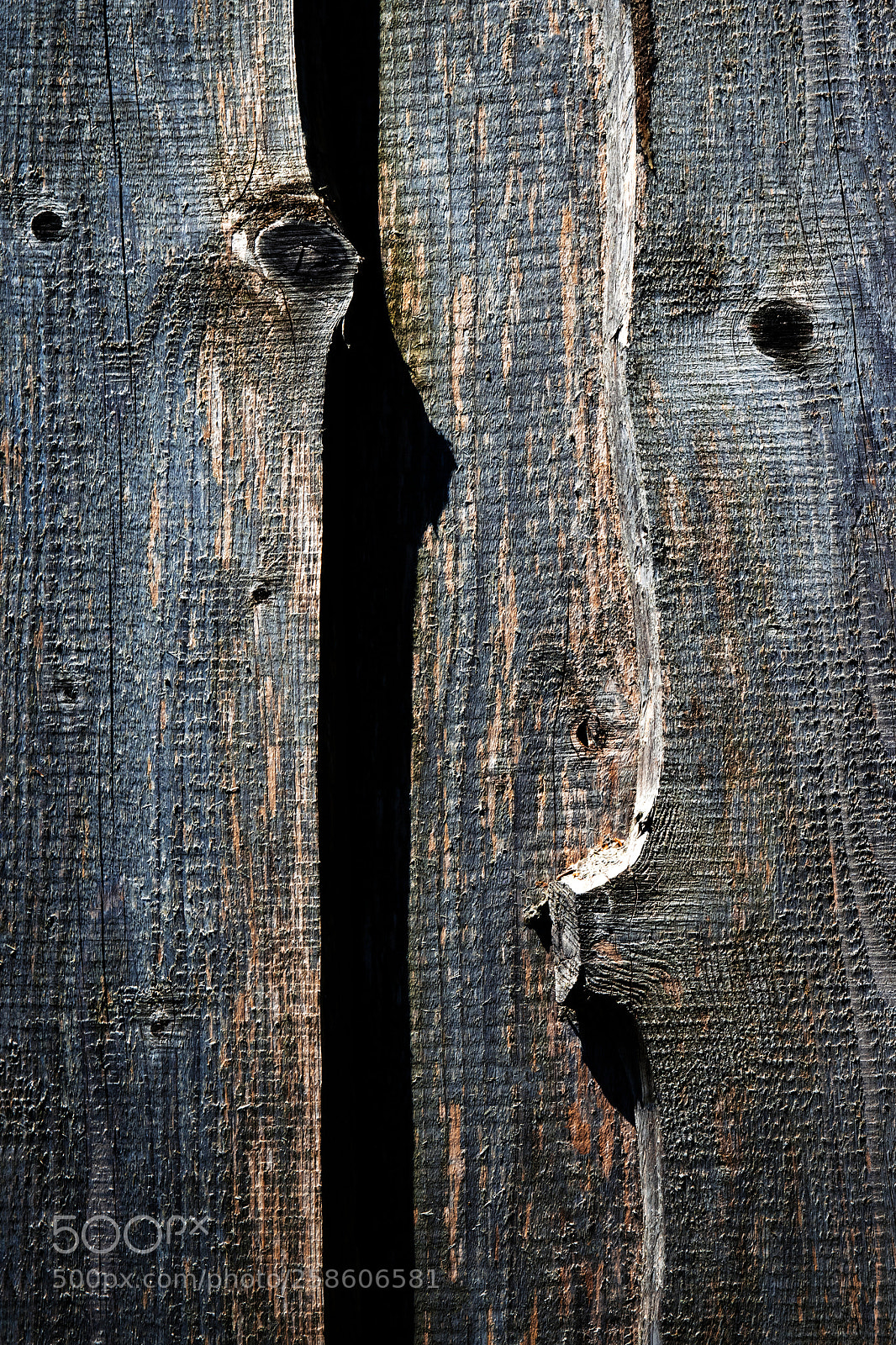 Nikon D5500 sample photo. Dark old wooden boards photography