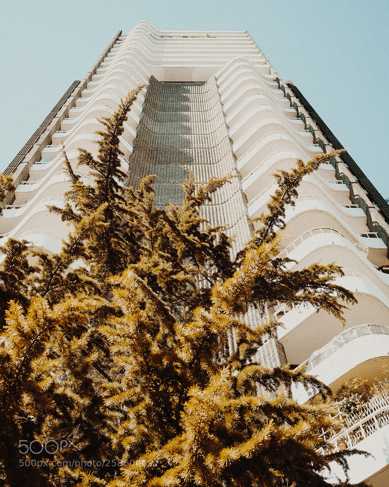 Sony a7 II sample photo. Burnt photography