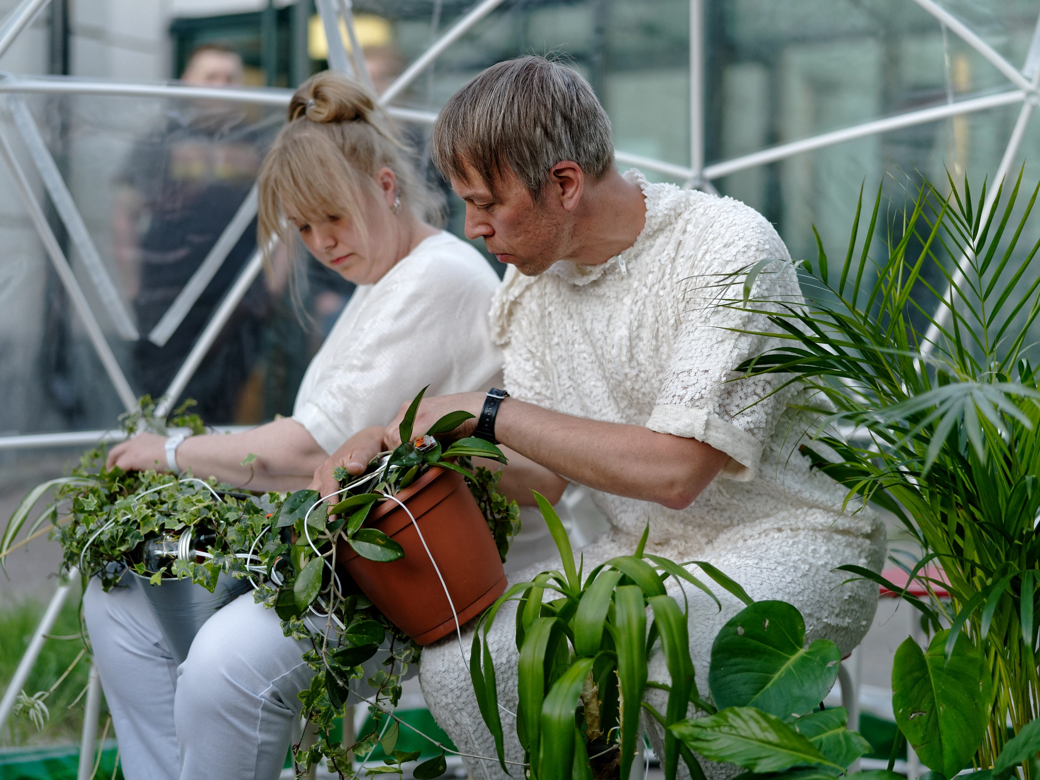 Sony a7R III + Sony Planar T* FE 50mm F1.4 ZA sample photo. Fern orchestra: arboretum -plant series ii photography