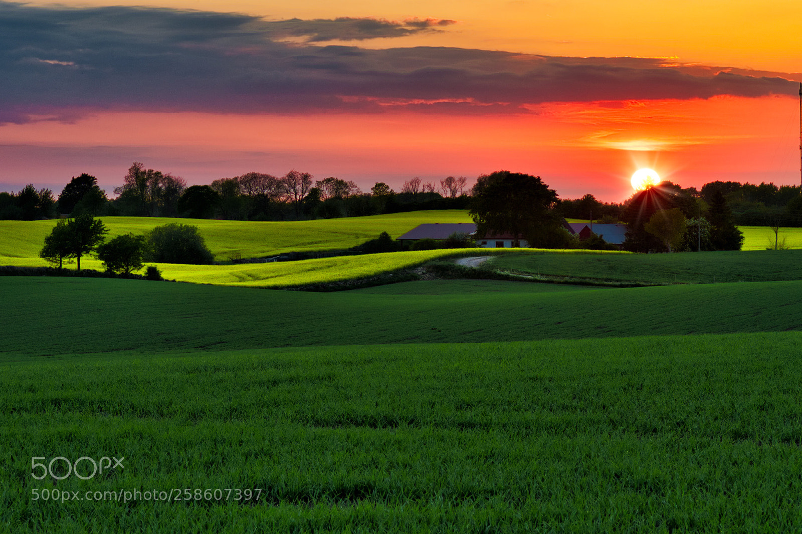 Nikon D500 sample photo. Sunset photography